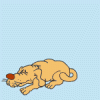 Animations - 283